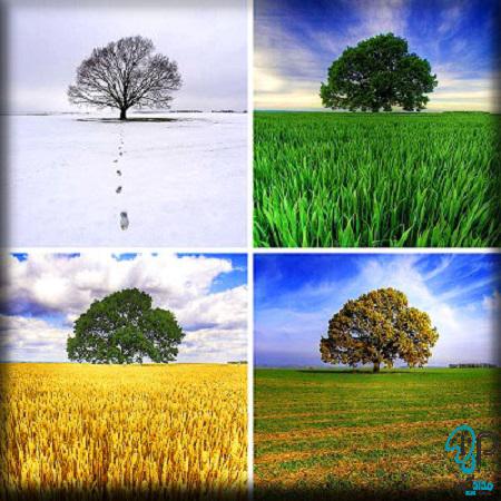 تابلو رنگ روغن چهار فصل